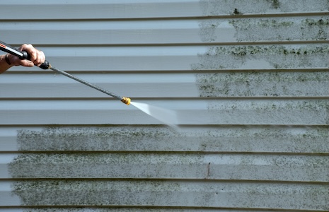 How to Remove Mold, Mildew, and Algae From Your Home’s Exterior