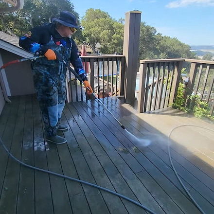 Fence & Deck Cleaning